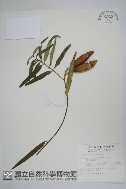 山橙藏品圖，第1張