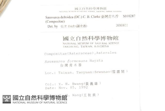 臺灣青木香藏品圖，第2張