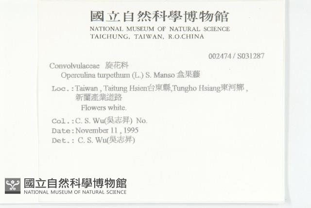 盒果藤藏品圖，第2張