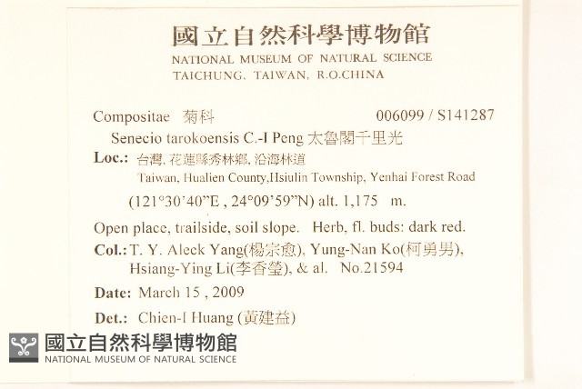 太魯閣千里光藏品圖，第2張