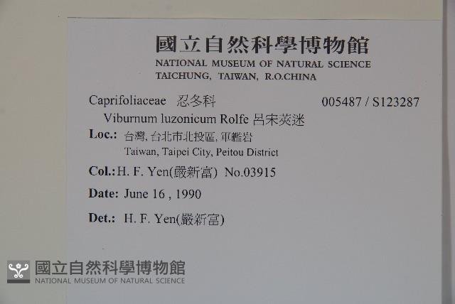 呂宋莢迷藏品圖，第2張