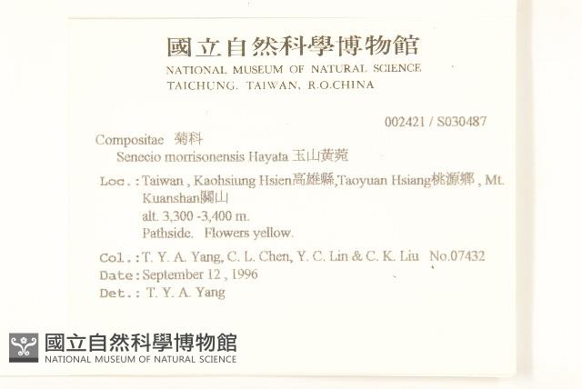 玉山黃菀藏品圖，第2張