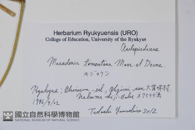 假防己藏品圖，第2張