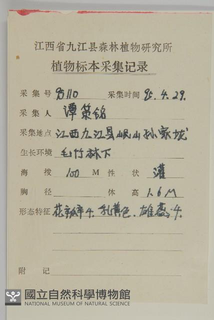 衛矛藏品圖，第2張