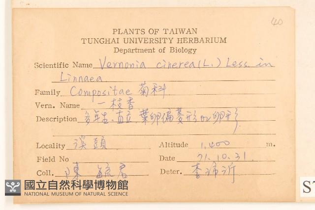 一枝香藏品圖，第2張