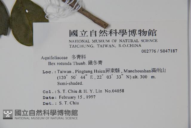鐵冬青藏品圖，第2張