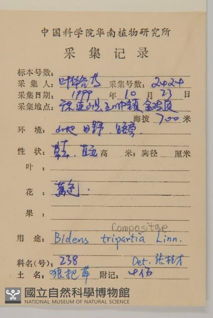 狼把草藏品圖，第2張