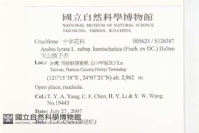 玉山筷子芥藏品圖，第2張