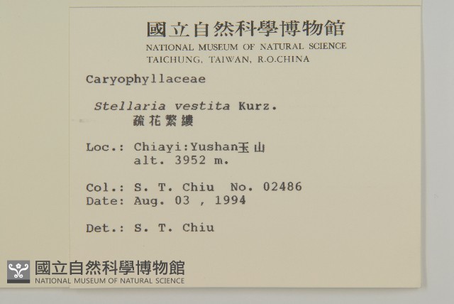 疏花繁縷藏品圖，第2張