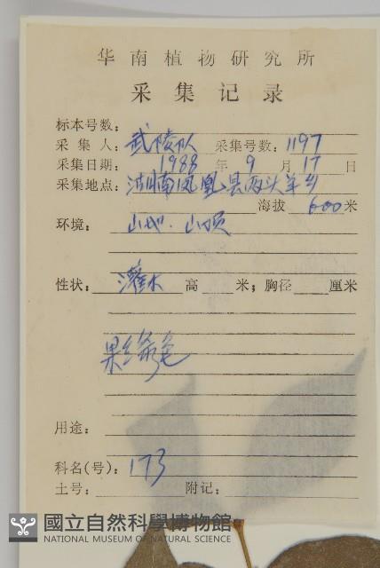 衛矛藏品圖，第2張