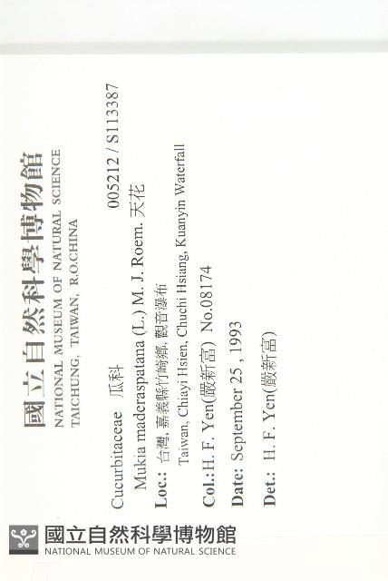 天花藏品圖，第2張