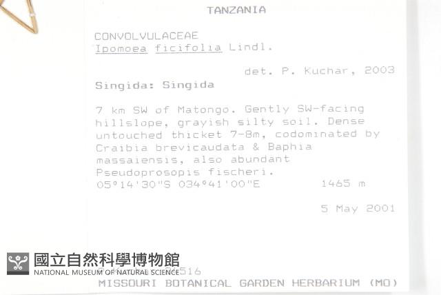 登錄號:S093387藏品圖，第2張