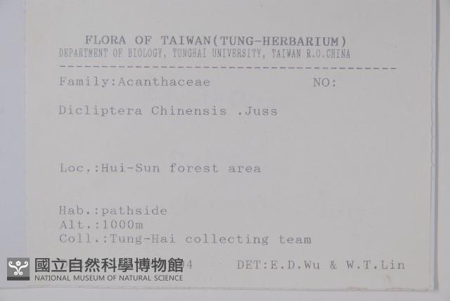 華九頭獅子草藏品圖，第2張