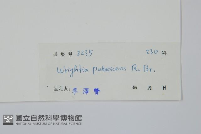 倒吊芼藏品圖，第2張