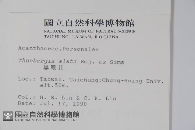 黑眼花藏品圖，第2張