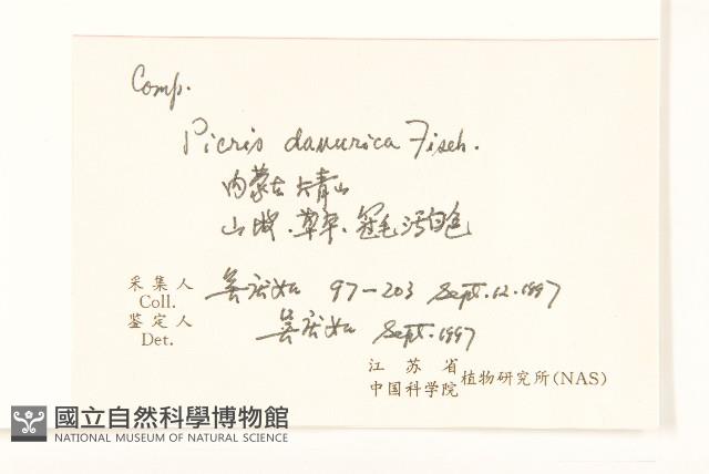 興安毛蓮菜藏品圖，第2張