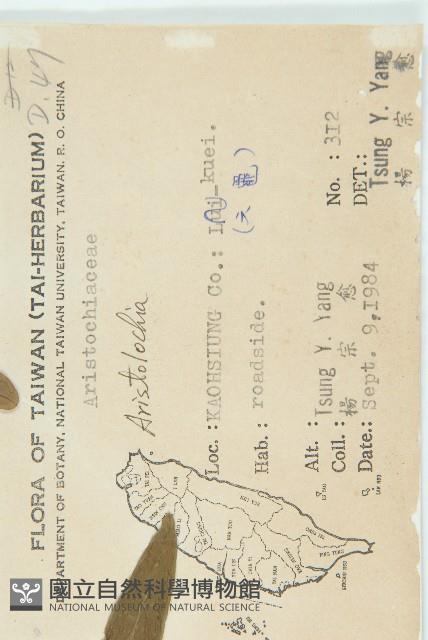 茅瓜藏品圖，第2張