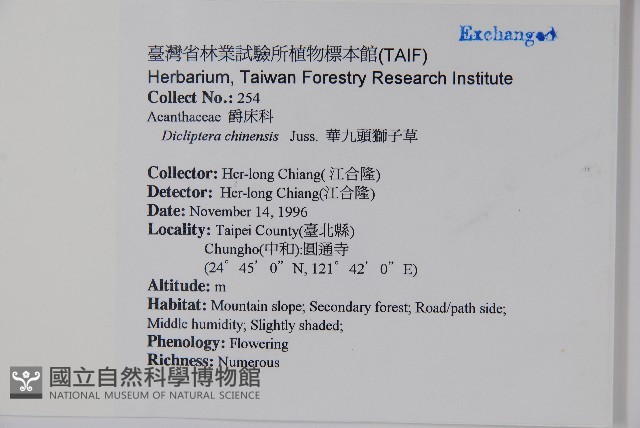 華九頭獅子草藏品圖，第2張