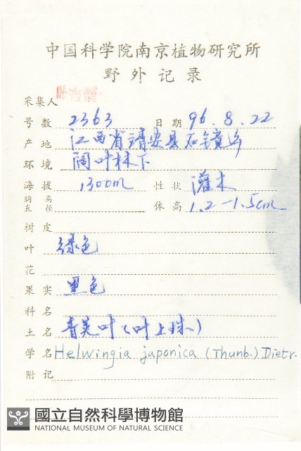 青莢葉藏品圖，第2張