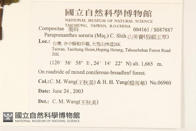 山苦藚、假福王草藏品圖，第2張