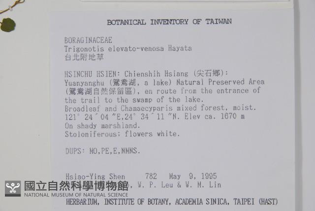 臺北附地草藏品圖，第2張