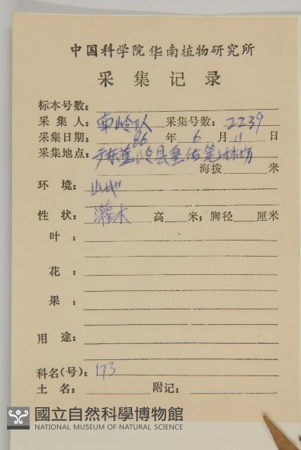 大丁黃藏品圖，第2張