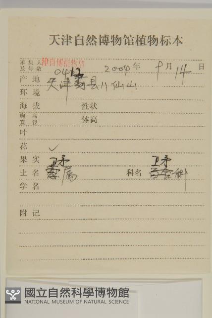 Burning Bush, Corkbush Collection Image, Figure 2, Total 3 Figures