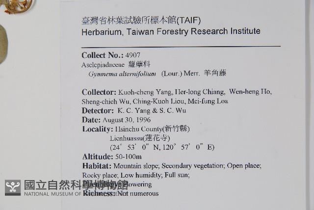 Taiwan cow-plant Collection Image, Figure 2, Total 2 Figures