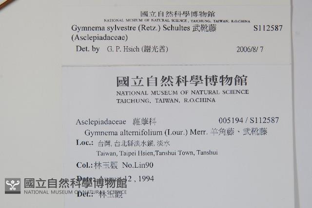 武靴藤藏品圖，第2張