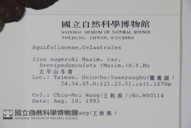 太平山冬青藏品圖，第2張