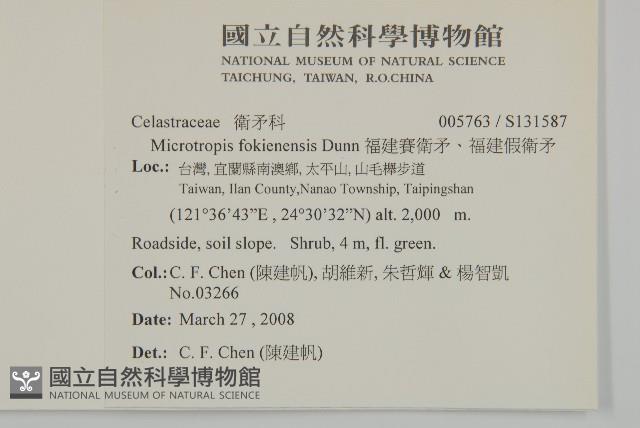 福建賽衛矛、福建假衛矛藏品圖，第2張