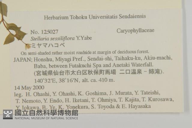 登錄號:S074587藏品圖，第2張