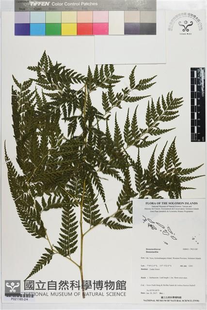 登錄號:P021185藏品圖，第2張