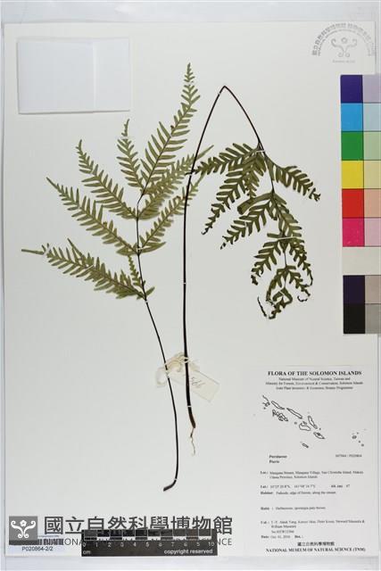 登錄號:P020864藏品圖，第2張