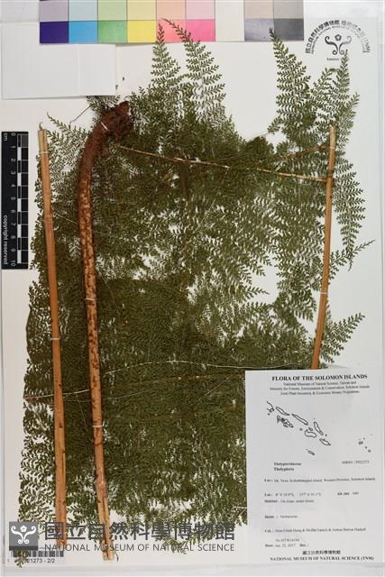 登錄號:P021273藏品圖，第2張