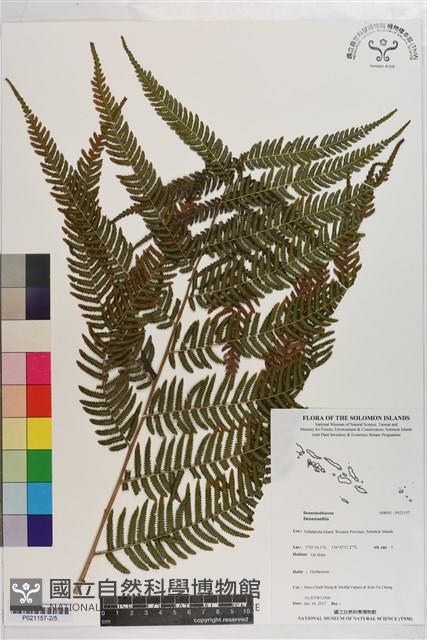 登錄號:P021157藏品圖，第2張