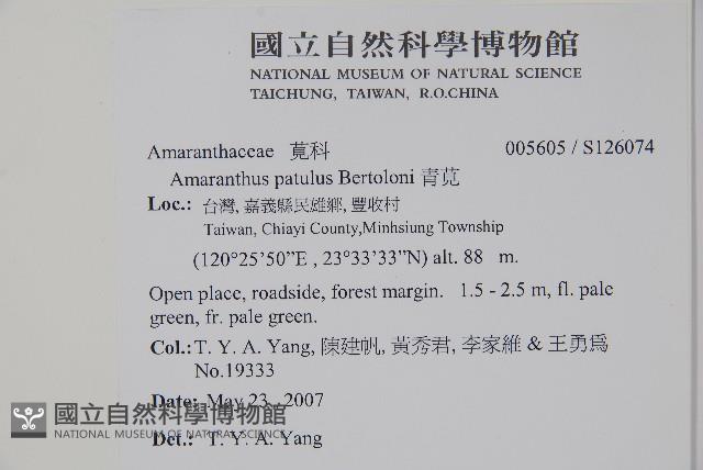 青莧藏品圖，第10張