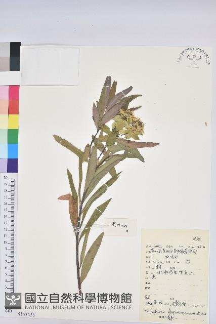 登錄號:S163626藏品圖，第1張