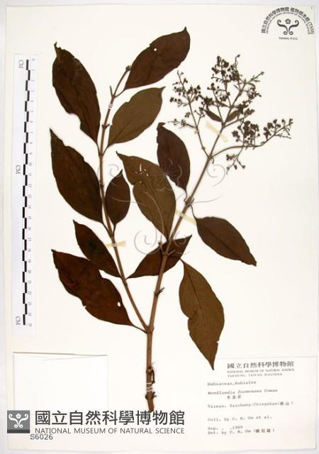 水金京藏品圖，第1張