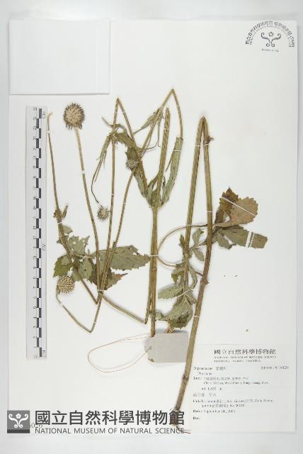 登錄號:S136026藏品圖，第1張