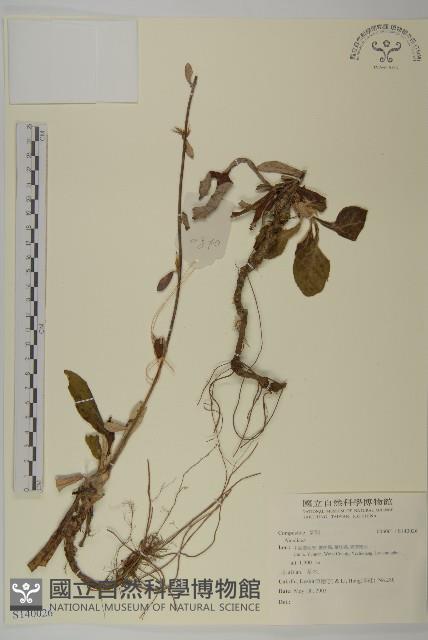 登錄號:S140026藏品圖，第1張