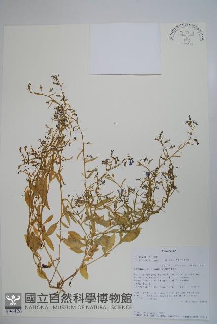 登錄號:S096426藏品圖，第1張