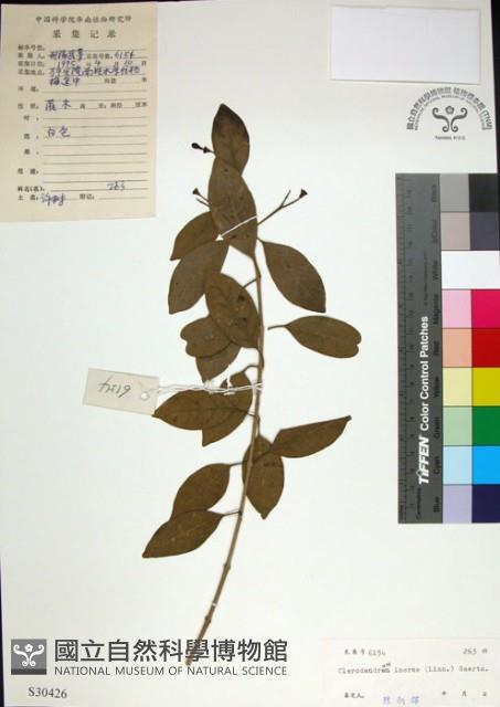 苦林盤藏品圖，第1張