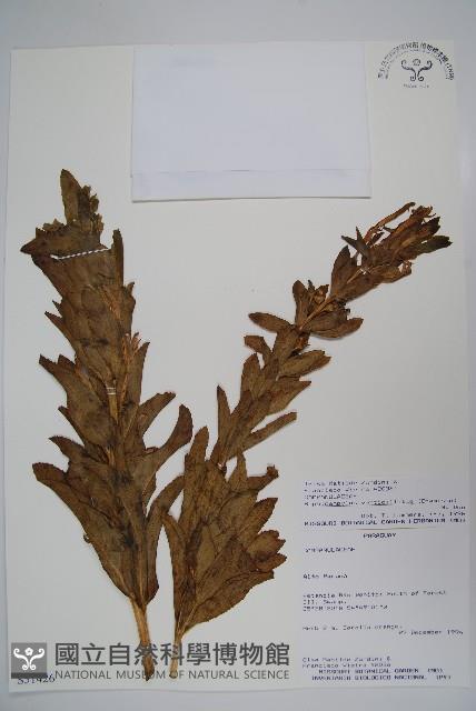 登錄號:S051426藏品圖，第1張