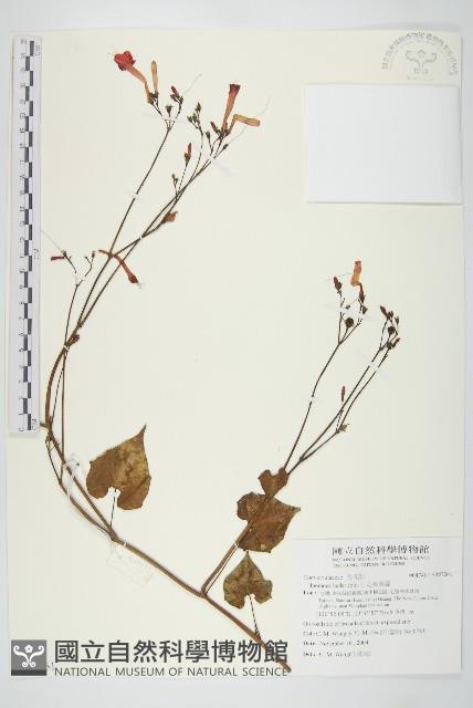 登錄號:S097126藏品圖，第1張