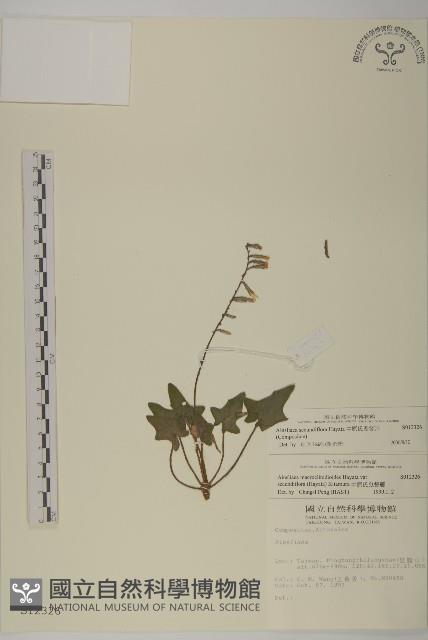 中原氏鬼督郵藏品圖，第1張