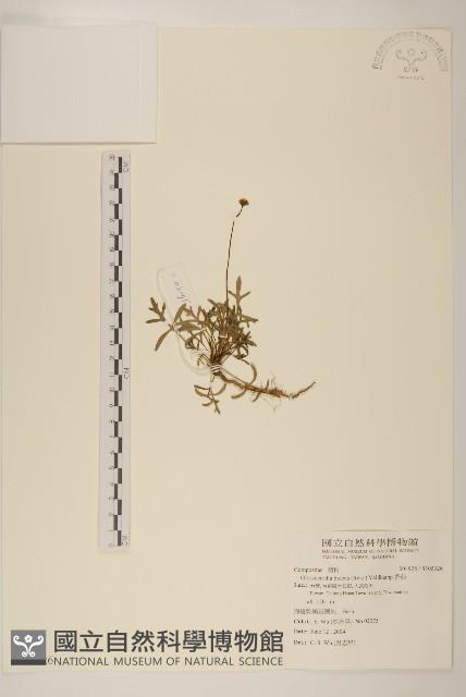 香茹藏品圖，第1張