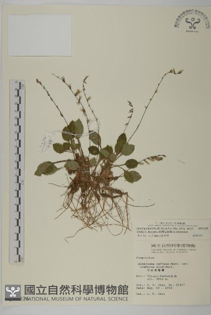 臺灣鬼督郵藏品圖，第1張