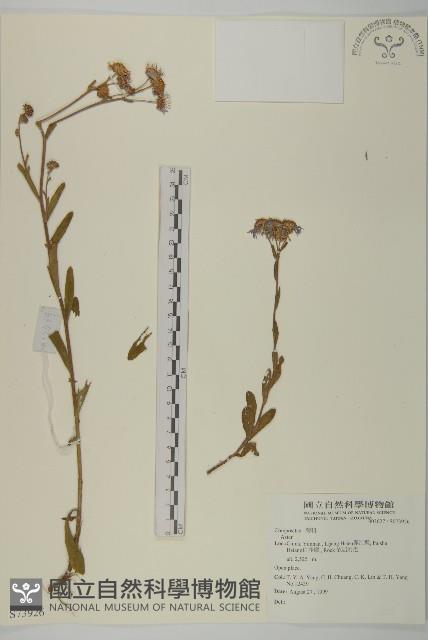 登錄號:S073926藏品圖，第1張