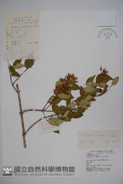 蝟實藏品圖，第1張